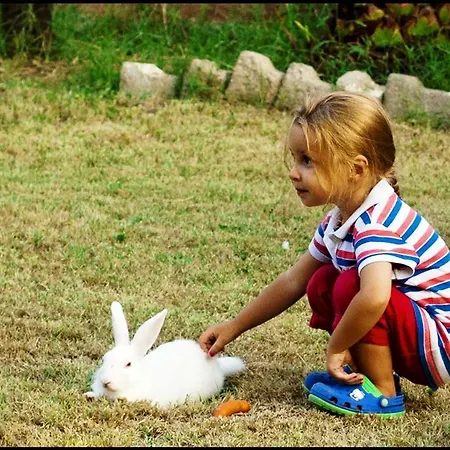 Quarto em Acomodações Particulares Mursel Garden