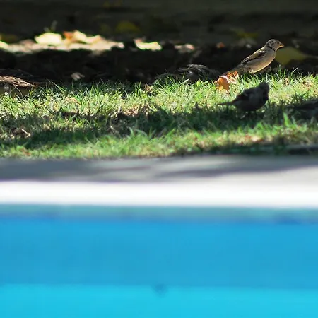 Mursel Garden Privatunterkunft *