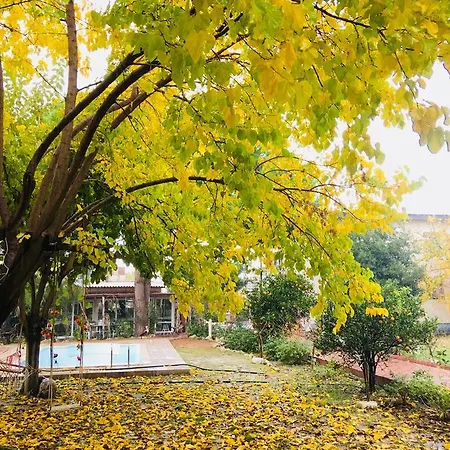 Mursel Garden Privatunterkunft *