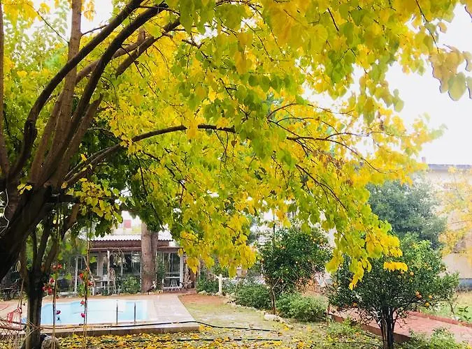 Mursel Garden Privat bolig *