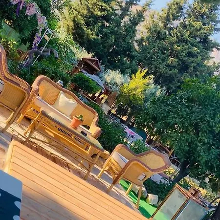 Mursel Garden * クシャダス