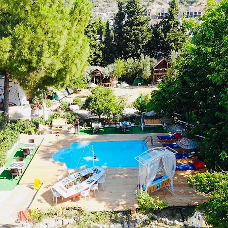 Homestay Mursel Garden