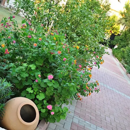 Homestay szállás Mursel Garden *