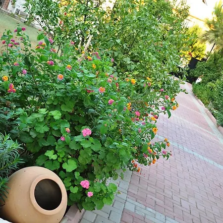 ホームステイ Mursel Garden *