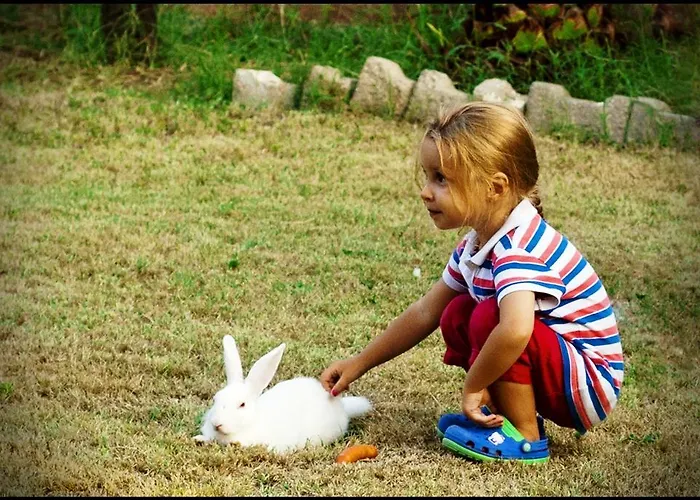 Privat bolig Mursel Garden