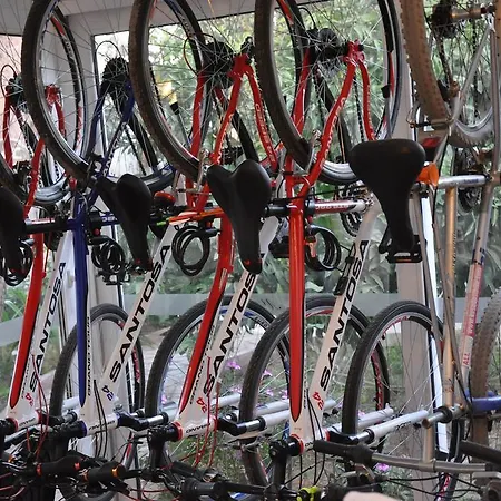 Ubytování v soukromí Mursel Garden